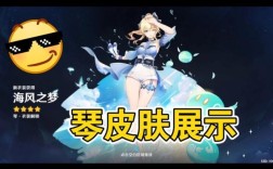 琴的皮肤是四星吗？（琴原神什么定位）