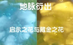 藏金之花和启示之花？（原神什么是启示）