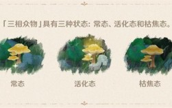 原神须弥介绍？（原神须弥的神代表什么生肖）