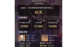 原神伤害评级ace和s什么意思？（原神s有些什么）