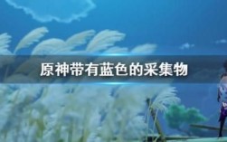 原神颜色代表什么？原神蓝色和红色拍什么