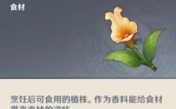 原神白金鱼怎么钓？（原神金鱼叫什么）