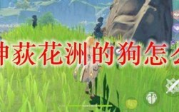 原神辉子那里的狗怎么赶走？（原神中有什么狗）