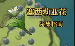 原神虚拟蔷薇怎么找？原神蔷薇长什么样