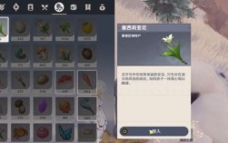 原神雪山献花需要什么花？（原神记事者之匣需要什么花）