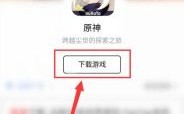 原神私人版怎么下载手机版？原神应该用什么手机下载