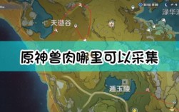 原神兽肉速刷路线？（原神什么刷肉）