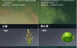 原神花有多少种（原神小灯草能干什么）