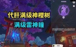 神瞳满级什么意思？（原神神樱满级代表什么）