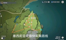 原神海露花为啥采集不了？（原神无法采集什么）