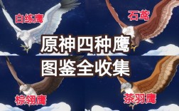 原神什么本掉充能沙？（原神老鹰会掉什么）