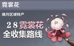 原神霓虹花一共多少？（什么是原神霓虹）