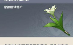 原神各个角色对应的花？（花是什么原神）