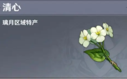 原神小花有什么用？（原神花什么属性）