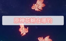 原神没有鱼饵怎么钓花鳉？（原神为什么钓不上花鳉）