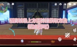 原神稻妻天守阁雷神瞳怎么拿？（原神雷神瞳用什么找）