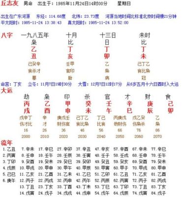 乙亥年 丁丑月 甲子日 乙丑时有没有大师说一下是什么命？什么是地支原神-图3