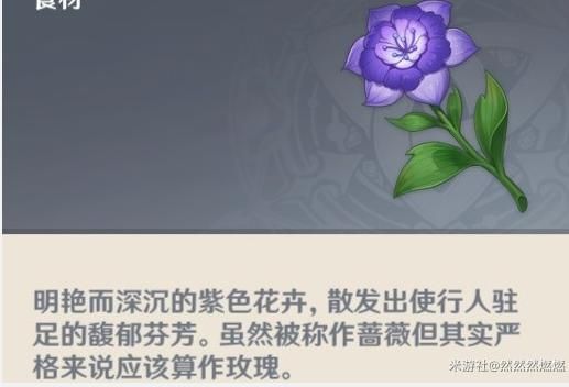 原神莎拉武器？原神沙拉喜欢什么花-图2