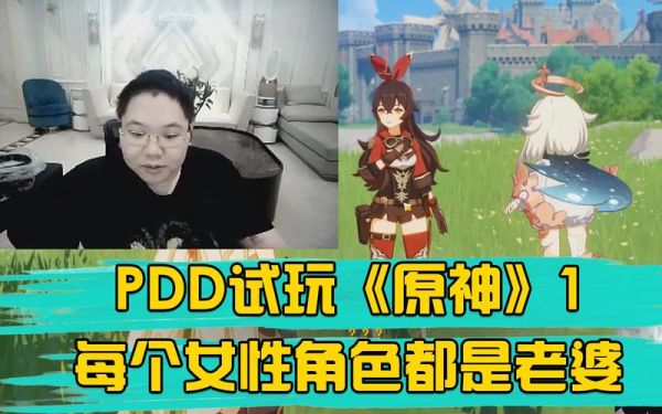 pdd玩的和原神一样的叫什么？原神cpdd什么意思-图2