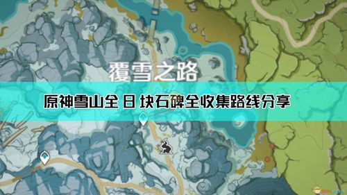 原神白柃木采集路线？原神雪山可以得什么-图3