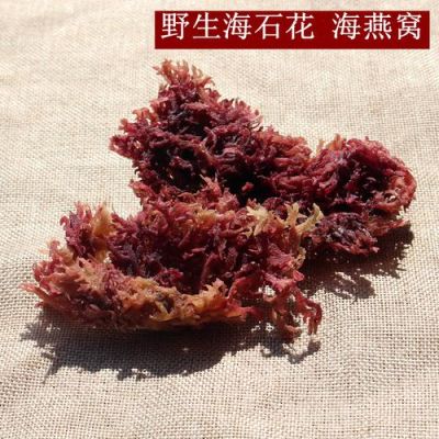 血珊瑚和石花菜一样吗？原神血之珊瑚是什么-图3