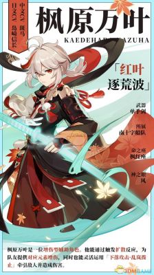 万叶的特征？原神万叶带什么帽子-图3