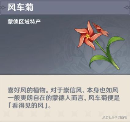 风车菊会旋转吗？（原神的风车菊做什么）-图2