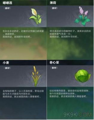 原神调查会飞走的植物？（原神调查的花是什么）-图1