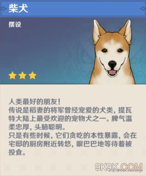 原神哪里可以抓到柴犬？（原神为什么无法捕捉柴犬）-图2