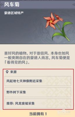 原神风车菊的花语？（在原神里面风车菊有什么用）-图3