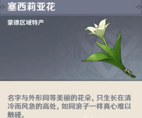 原神塞西莉亚花花语？（原神的塞西莉亚是什么花）-图2