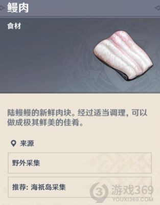 原神哪里可以买到鳗鱼肉？（原神藤纹陆鳗鳗有什么用）-图3