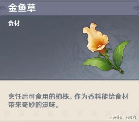 花园里可以种植哪些灭蚊植物？（原神草神绽放是什么）-图2