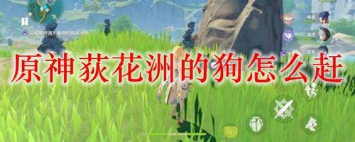 原神辉子那里的狗怎么赶走？（原神中有什么狗）-图1