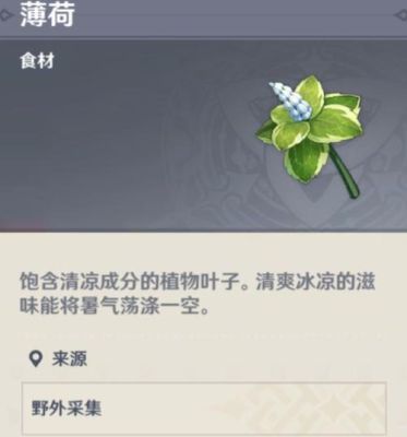 元神薄荷哪里多？（原神薄荷指什么）-图3