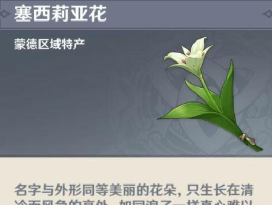 原神各个角色对应的花？（原神花选什么）-图1