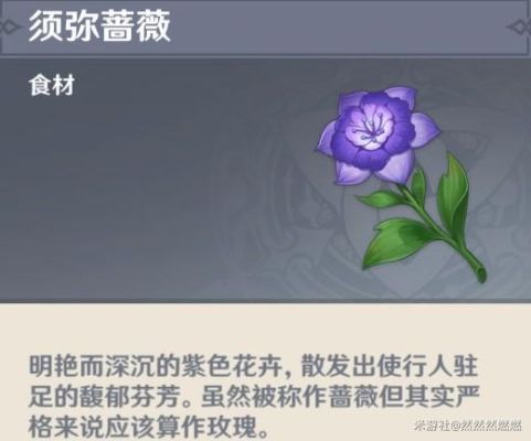 须弥树木都有哪几种？（原神须弥追求什么）-图3