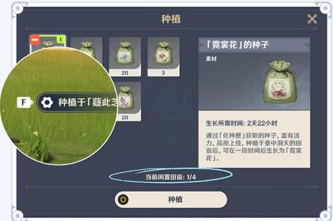 原神怎么种植植物？（原神种什么植物）-图2