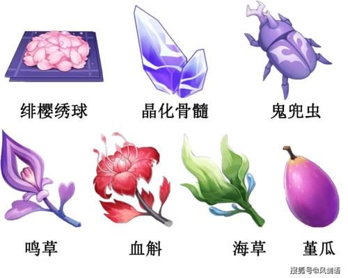 人参花啥颜色的好？（原神草神的配色是什么）-图2