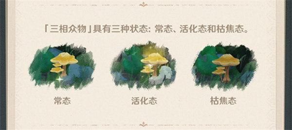 原神须弥介绍？（原神须弥的神代表什么生肖）-图1